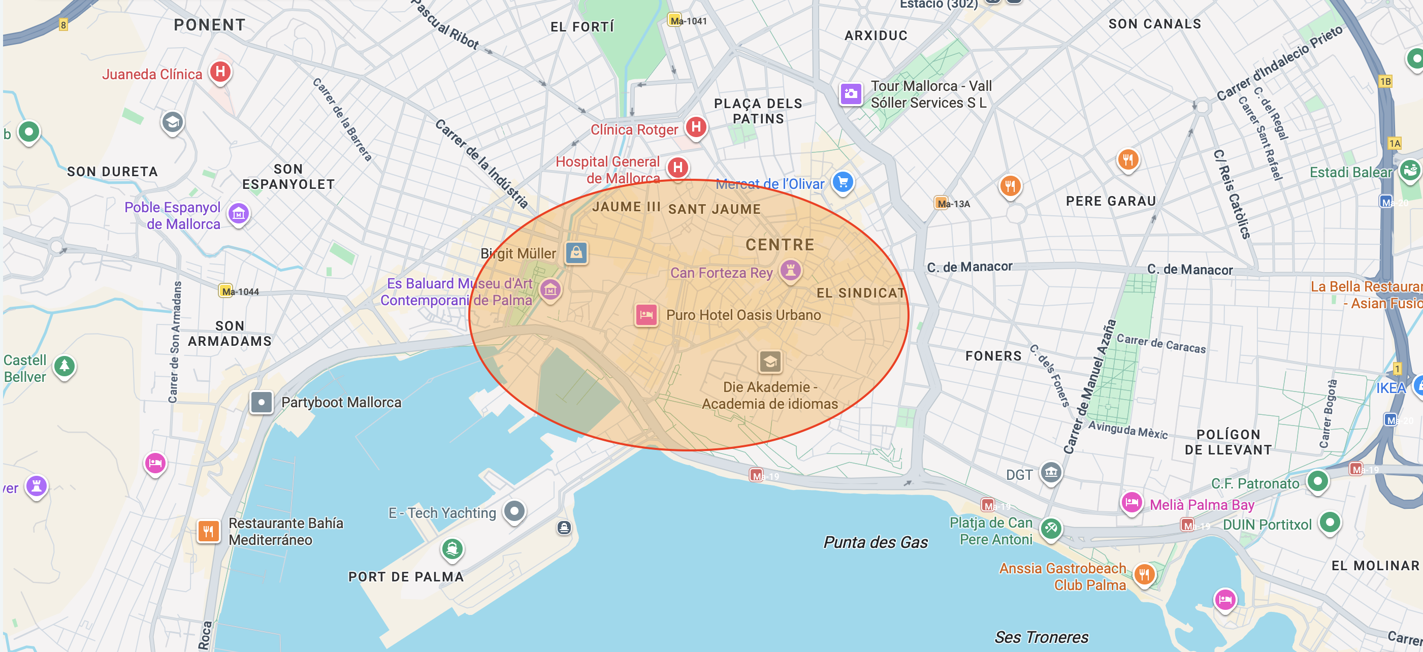 Palma neighbourhood map